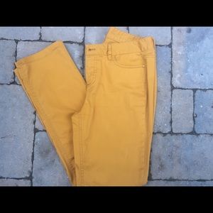 Talbots Signature Straight Mustard Pants 4